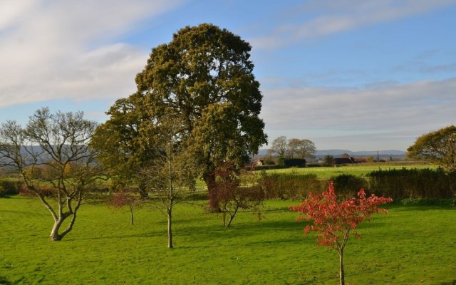 The Barn at Tillington