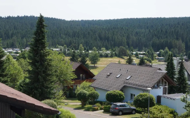 Waldblick