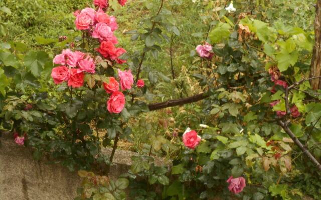 Split-level house in East Pelion