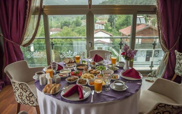 Sarot Thermal Palace Tatil Koyu (Halal Hotel)