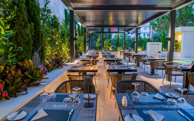Divani Escape- Adults only