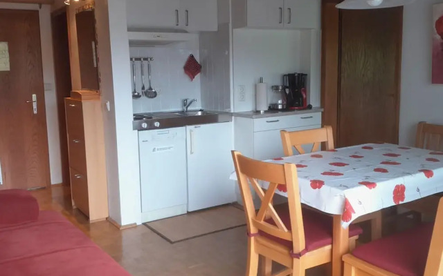 Apartment in Wildschonau by Schatzberg Lift