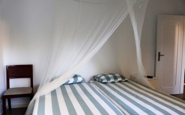 Akivillas Tavira Pine