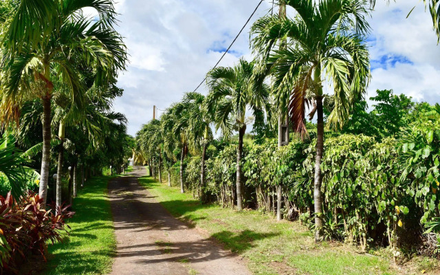 PARADIS TROPICAL appart'hotel