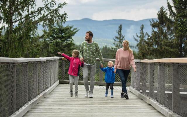 Apartmán Lipno 50/18