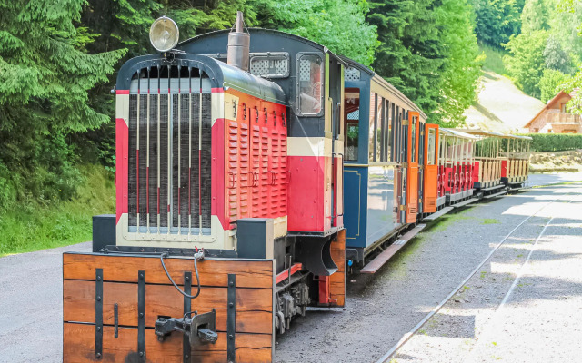 Premium Apartment in Saint-quirin With Garden