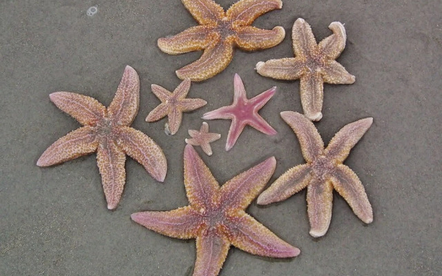 Wonderful and Spacious Apartment