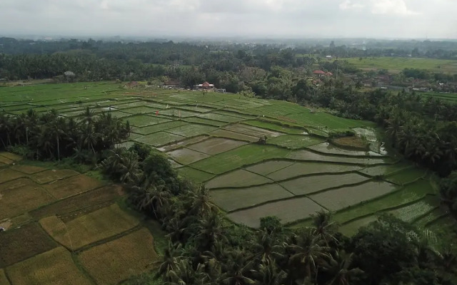 Asri Sari Resort Ubud