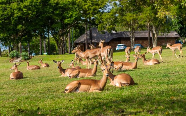 Kruger Park Lodge Unit No. 441