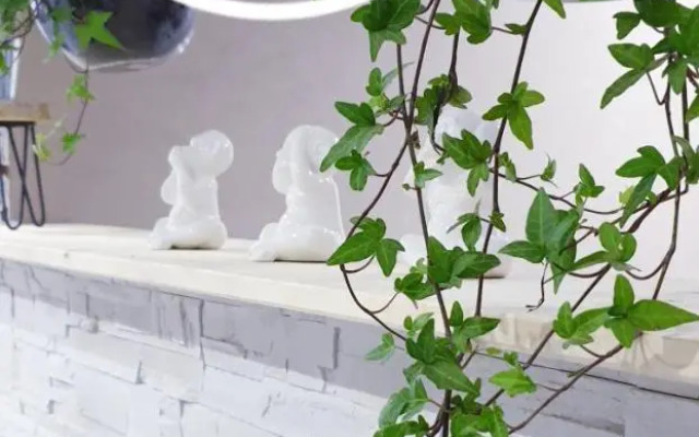 Studio zen et cosy, neuf en pleine ville