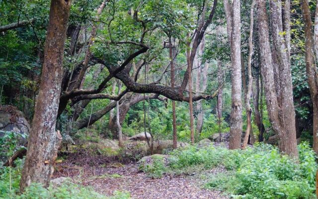 Secret Valley Jungle Resort