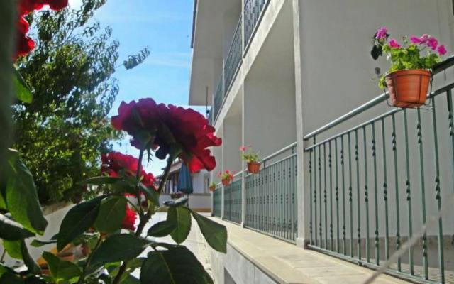 Solar dos Marcos Rural Accommodation