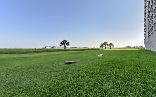 Islander East 309 - Seashell Studio