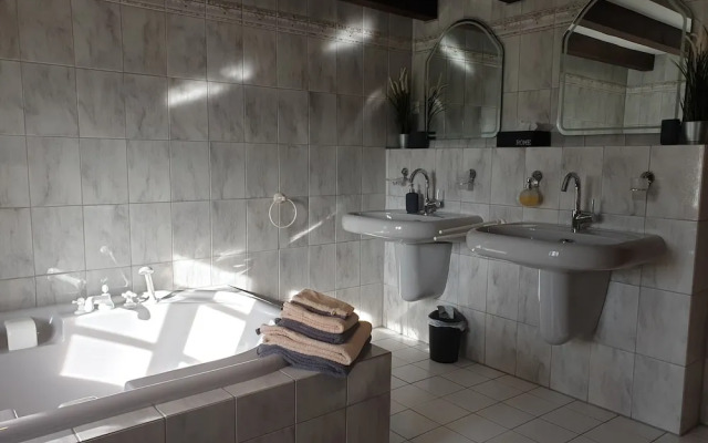 La Alqueria de las Alpacas - Alpakas am Ardey