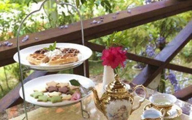 Cing-ging Star Lohas Homestay