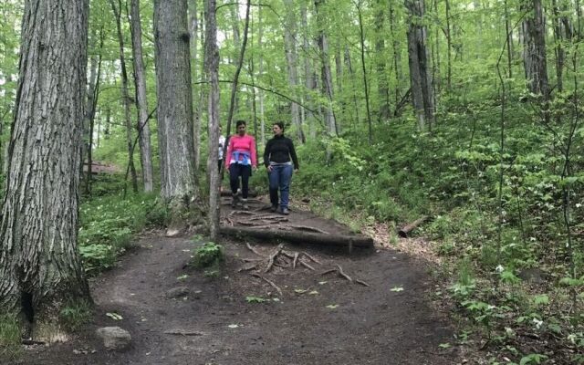 Forks of the Credit Inn