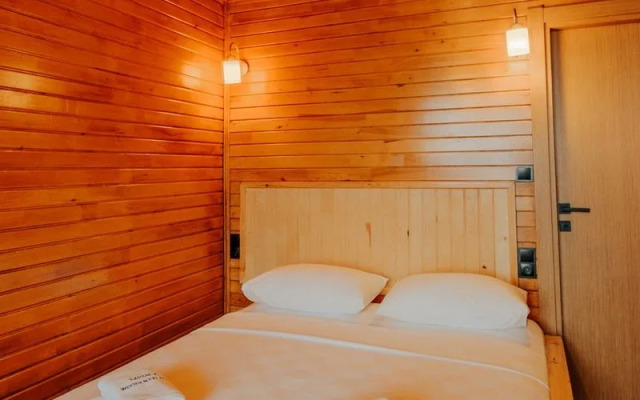 Wooden Palaces