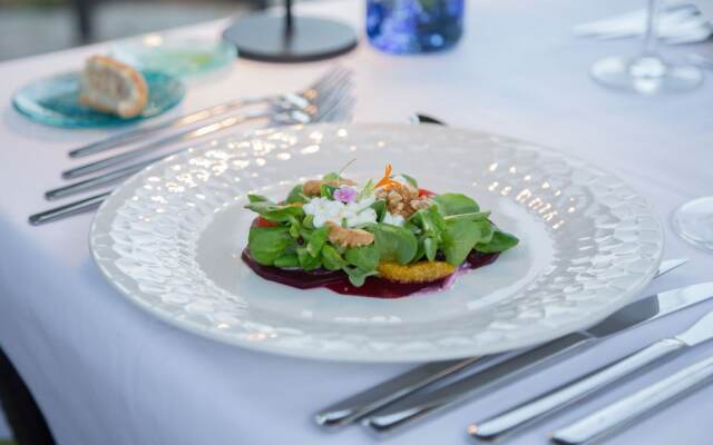 Treurer Olive Grove & Grand House - Adults Only