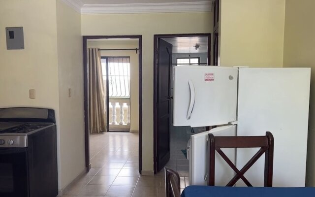 Spacious apartment in Boca Chica