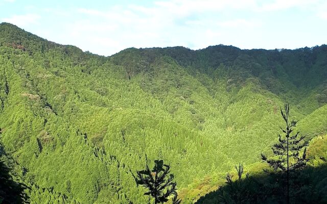 Yui Valley