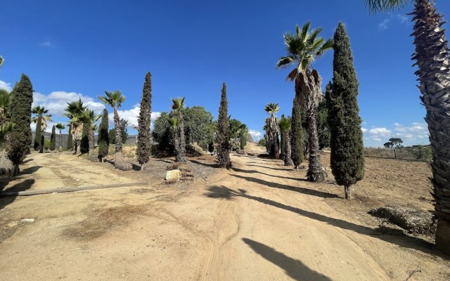 Wine country In Valle de Guadalupe