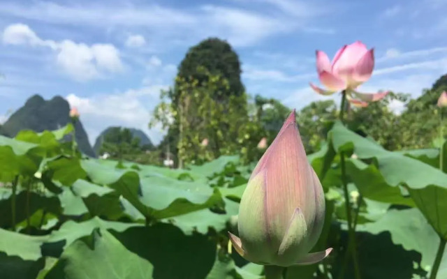 Yangshuo Ecofarm Lodge