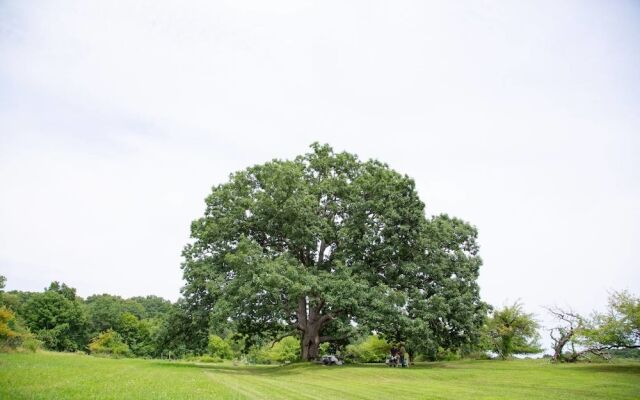 Tentrr Signature - Orchard Tent