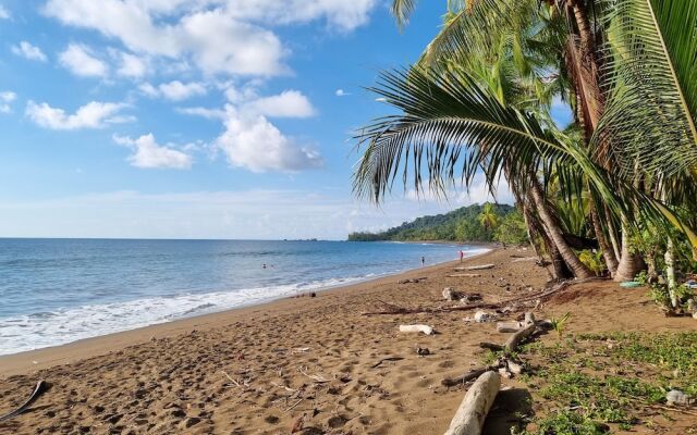 Cabinas Pura Vida Bed & Breakfast