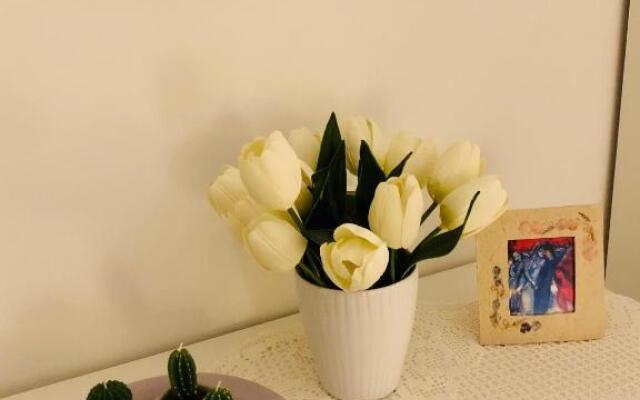 La casa di Nonna Clo, nel centro di Vasto