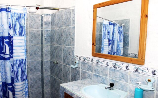 Galapagos Penguin Hostel