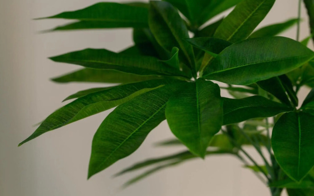 Naha - House / Vacation STAY 79997