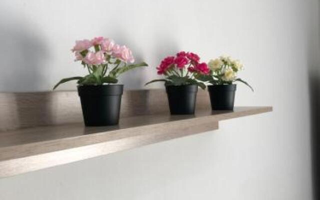 Dimitris House 5
