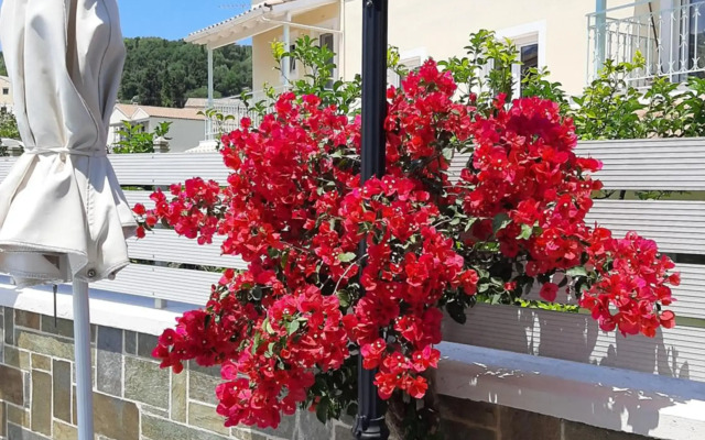 Solaris Apartment Kassiopi