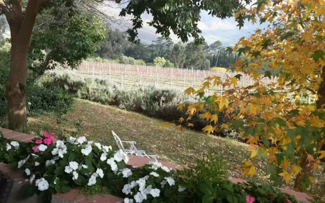 Blueberry Hill Cottages