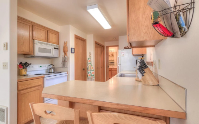 Avas Sunny Delight (MCA 682)