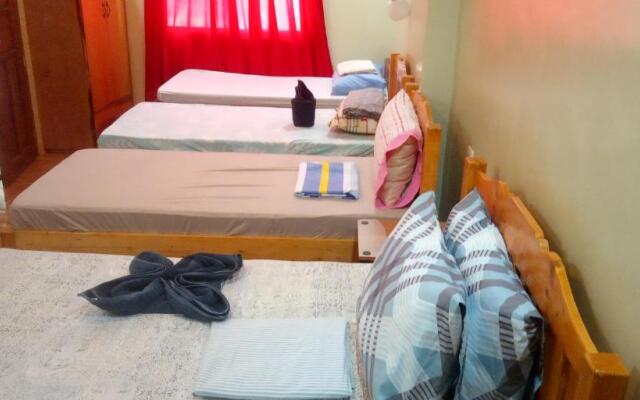 Screaming Gecko Hostel Air-Con