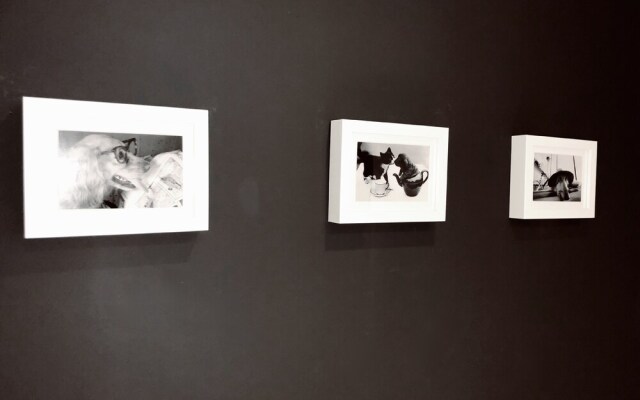 Uribarri en El corazon by Urban Hosts