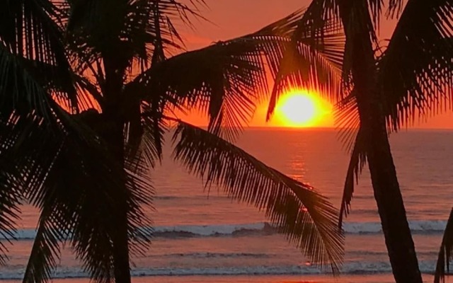 Gallina E Palo Beachfront Hotel