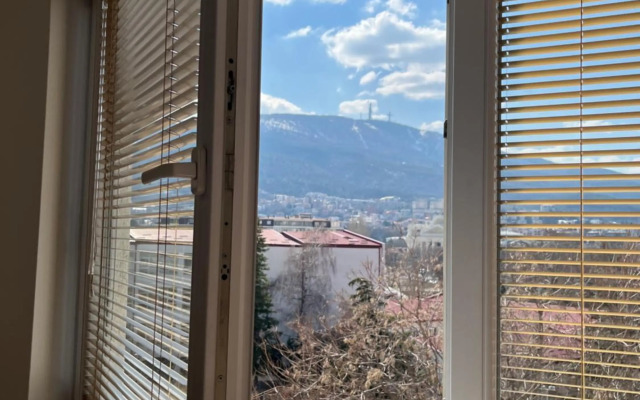 OLE apartment III - in the city center