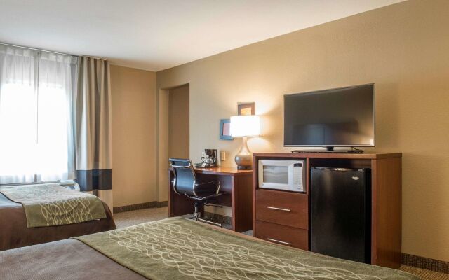 Comfort Inn Edinburg