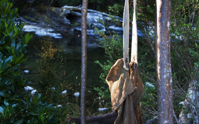 Tyenna River Cottage