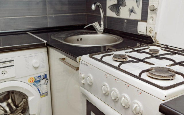 Transitional Havryky Apartment