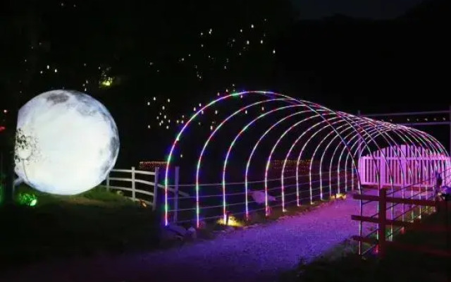 Wild Wind Starry Sky Bubble House Hotel