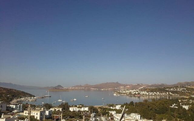BO042 Bodrum