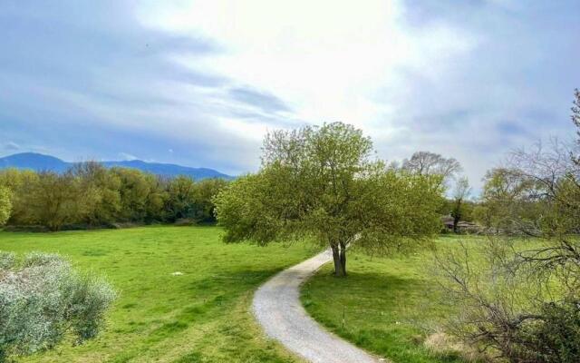 Appartement Argelès-sur-Mer, 1 pièce, 4 personnes - FR-1-225-527