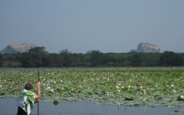 Thick forest sigiriya