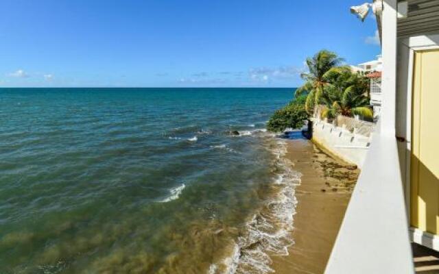 Lemon Tree Ocean Front