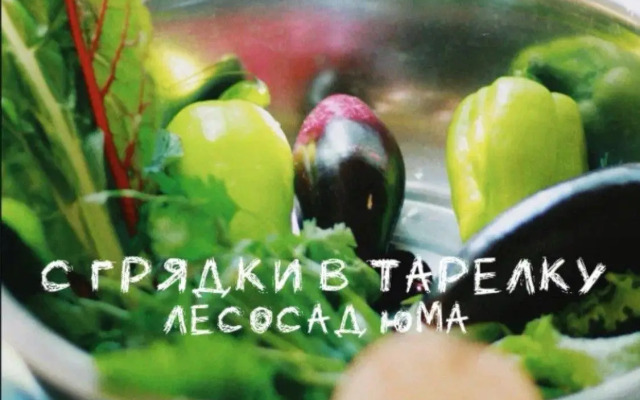 Лесосад Евгения Юма