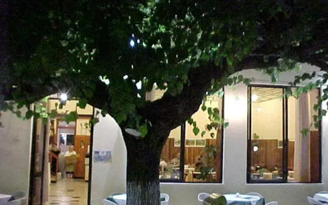Hotel New Olympia