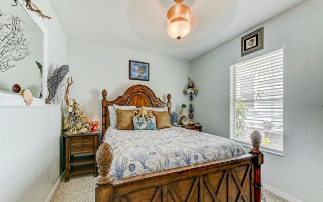 Turtle Paradise by Vtrips